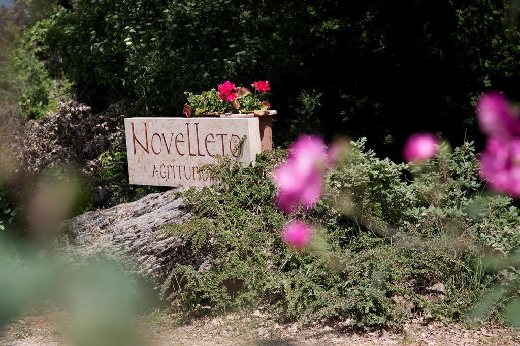 Novelleto Villa Monteriggioni Eksteriør bilde