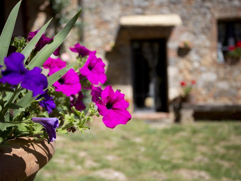 Novelleto Villa Monteriggioni Eksteriør bilde